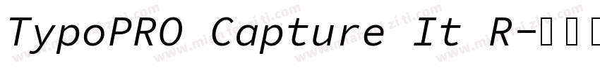 TypoPRO Capture It R字体转换